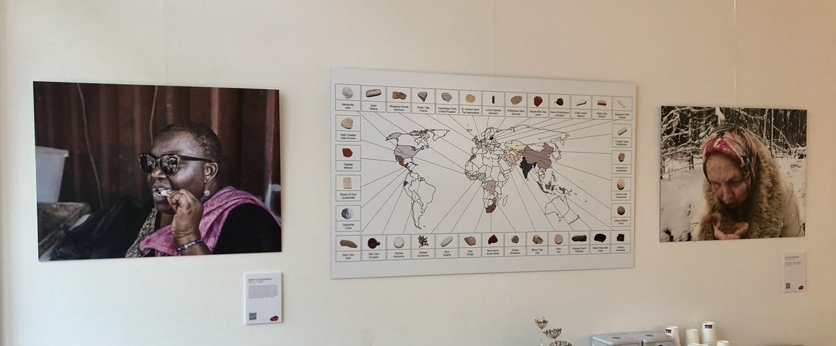 World Soil Museum tweet media