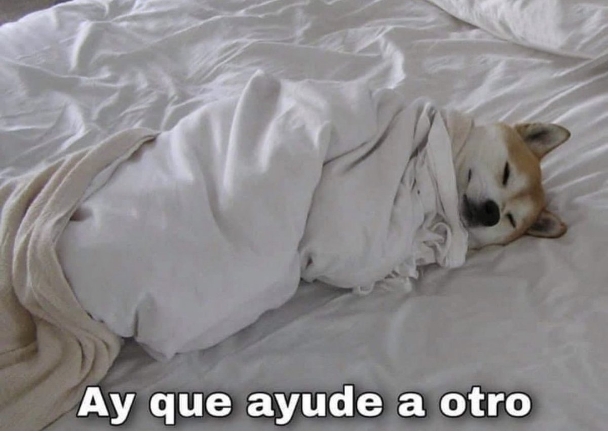 Guarromantico_'s tweet photo. “Al que madruga, Dios lo ayuda”.

Yo: https://t.co/hi60w62OYk