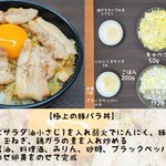 どのレシピも美味しそう!ジューシーで大満足するどんぶりレシピまとめ!