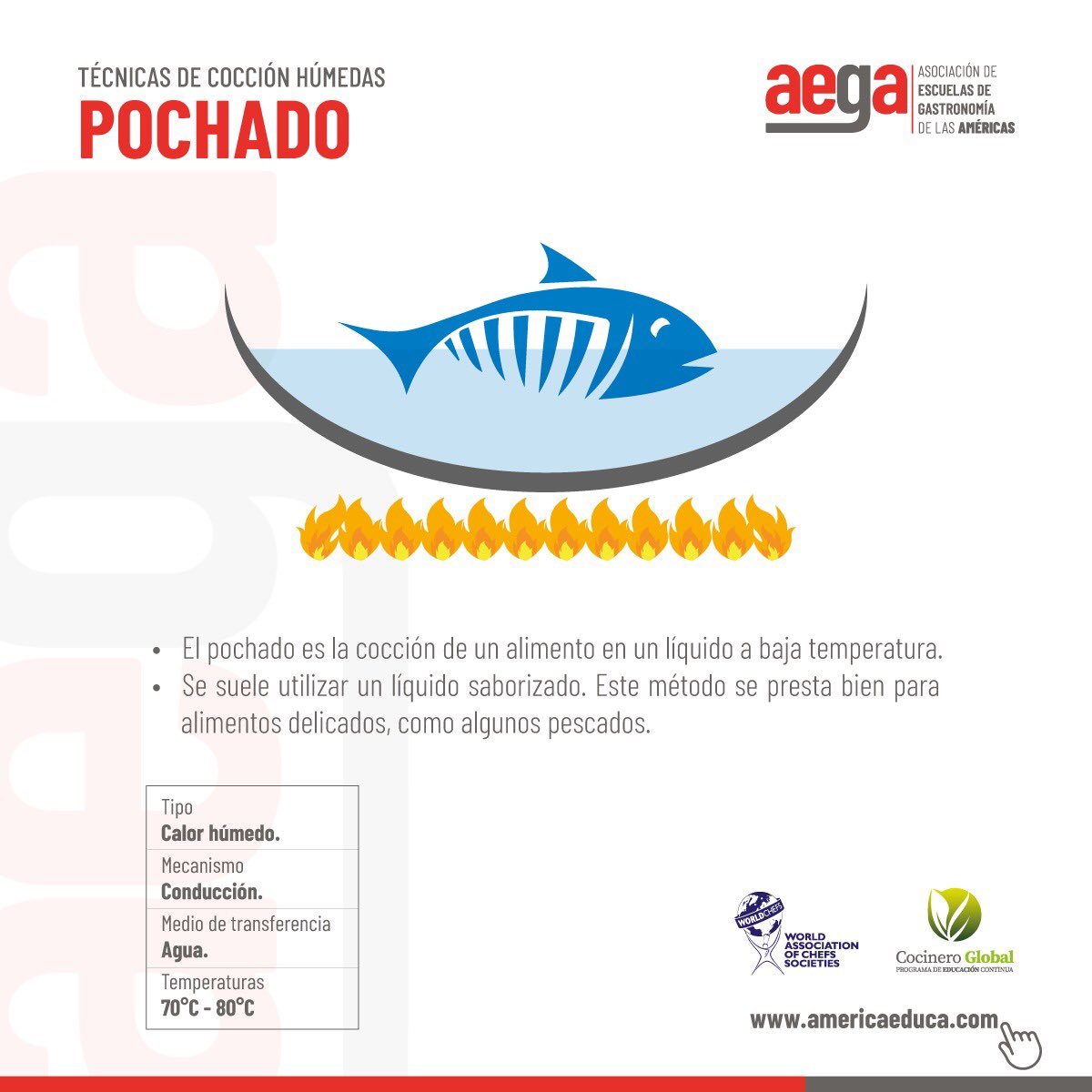 Tenemos que iniciar un cambio profundo en la educación basada en las necesidades del turismo actual y entendiendo esta nueva realidad en la que vivimos crear nuevas experiencias y orientar a los jóvenes a procesos sostenibles es el reto de todos.

worldchefs.org/magazine/world…