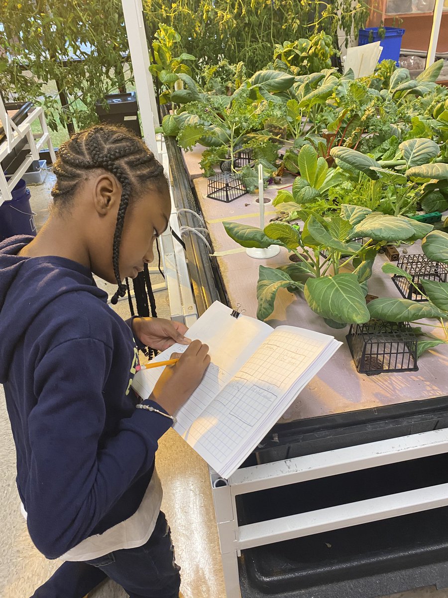 Love these Tiger Sprouts!  I’ll do more hiring after Christmas break.