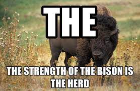 WOOF Pool - $Hosky Rugpool 🐕🐈❤️ tweet media