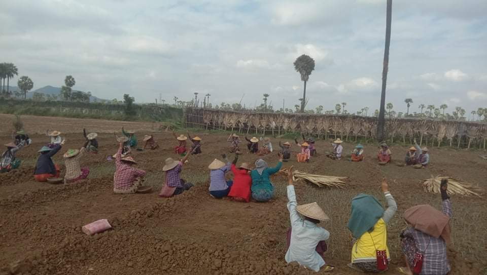 " Women who will annihilate the military "

Onion farmers from #Letpadaungtaung area of SaLinGyi township held anti-military boycott this afternoon .

#EndImpunity 
#Dec8Coup 
#WhatsHappeningInMyanmar
