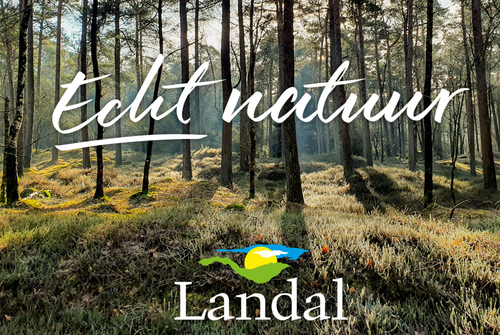 vakantieparken's tweet photo. Echt Natuur: de nieuwe podcast van Landal GreenParks 🍃https://t.co/fHaqP0jsp9 Gaaf @landalnl - wij hebben er al een paar beluisterd! Heel ontspannend! 🙏 #landal #ontdeklandal #podcast #parkvakanties https://t.co/TYK5PVSnDc