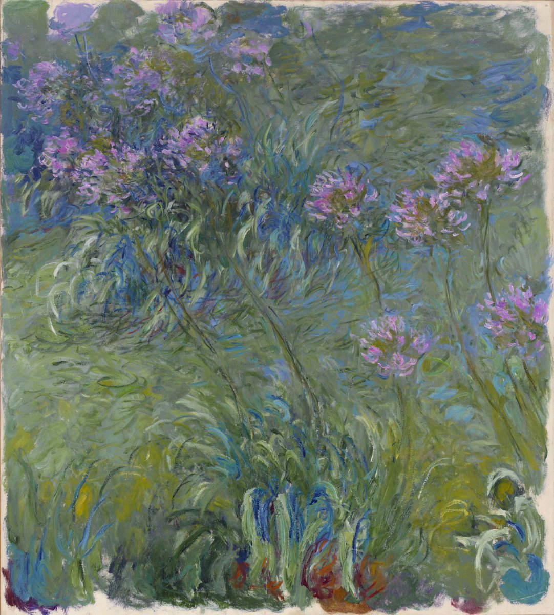 fiftyverses's tweet photo. Adolphe Monet, Agapanthus, 1914-17 https://t.co/sngc94oUc7