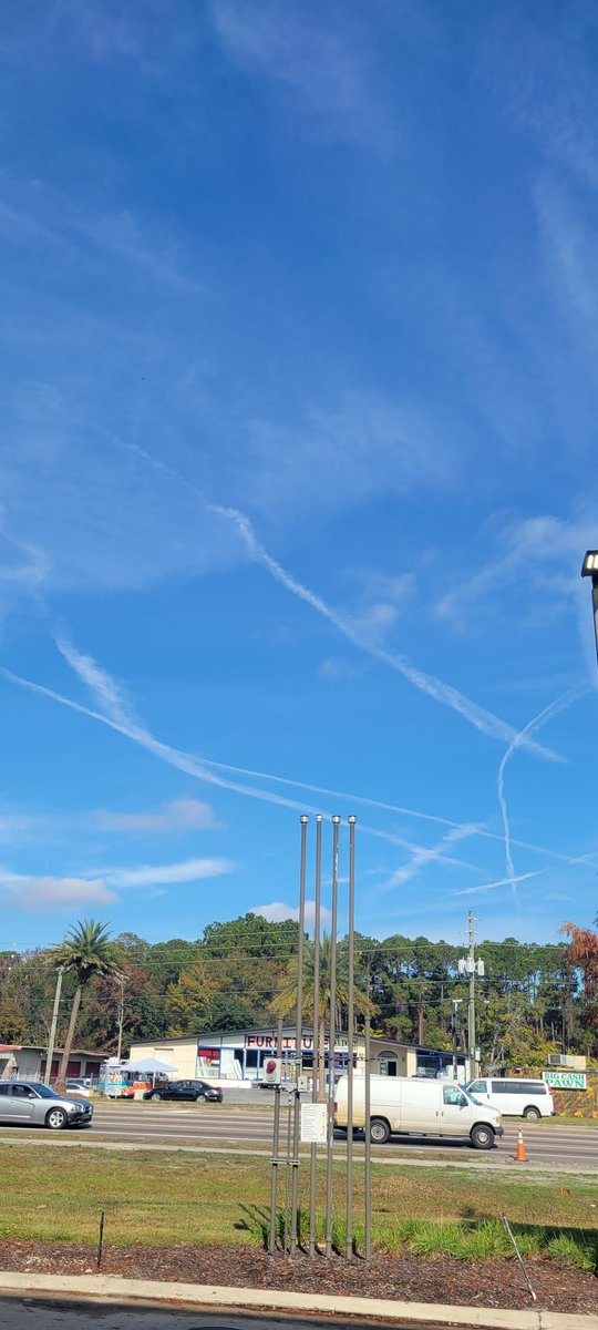 bufotoad1's tweet image. 