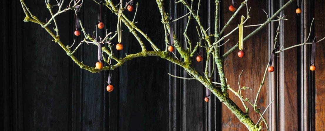 Going natural this year? We love some of these decoration ideas inspired by nature gardensillustrated.com/christmas/insp…