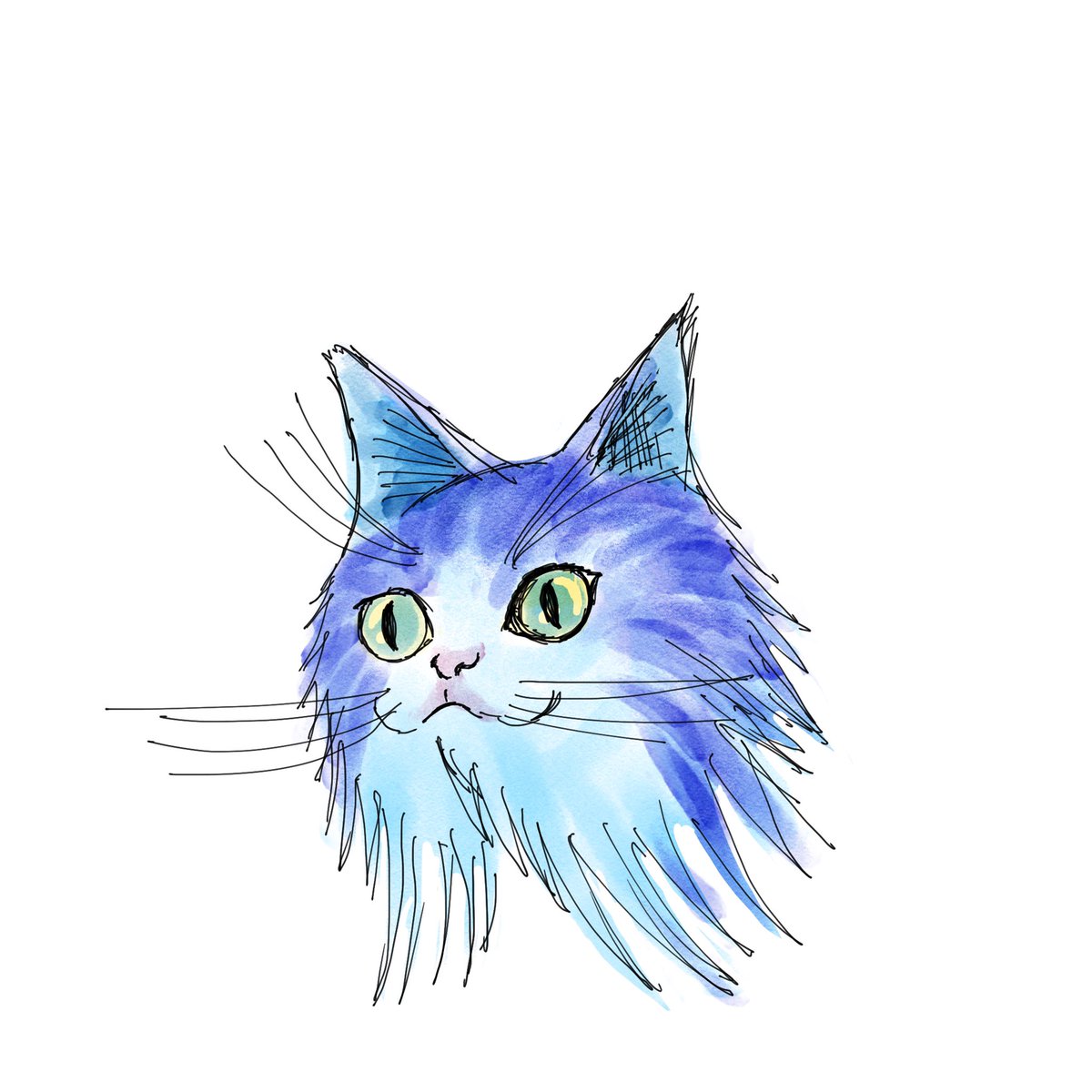 AnytimeCats tweet picture