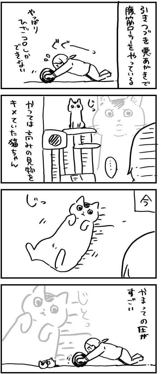 近頃の猫ちゃん 