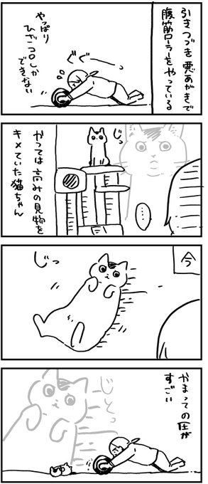 近頃の猫ちゃん 