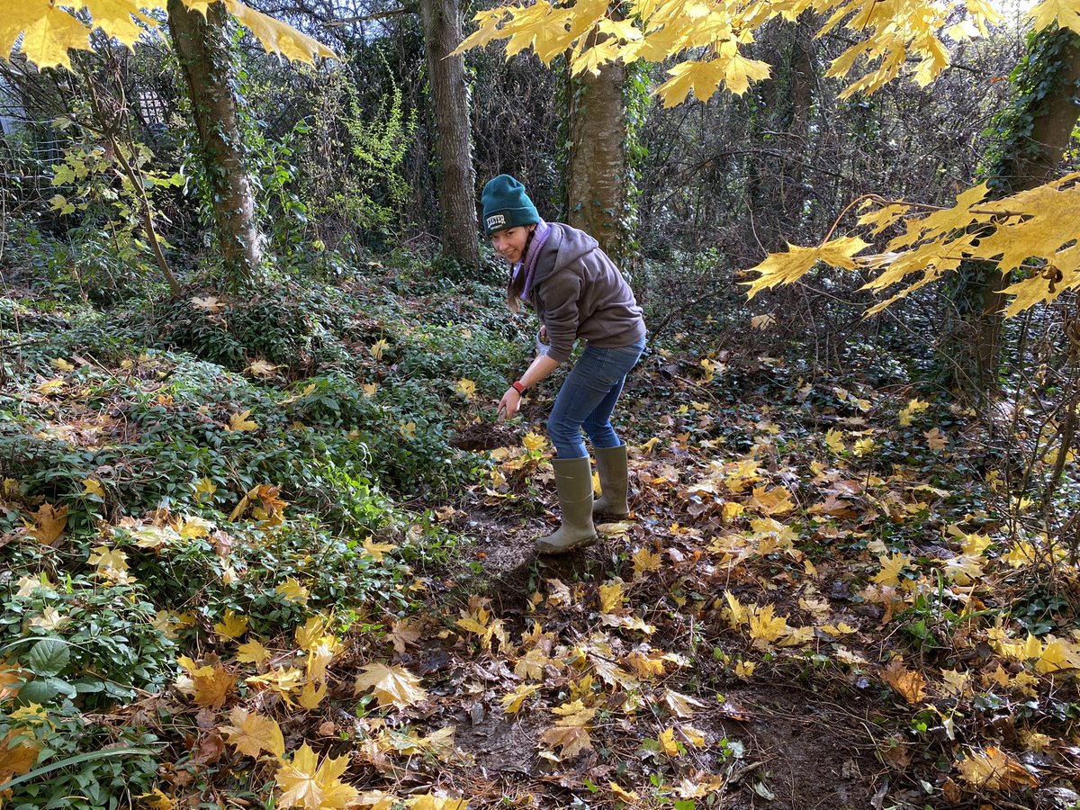 Nothing suspicious to see here… #gravefilling #experimentalarchaeology #forensicarchaeology