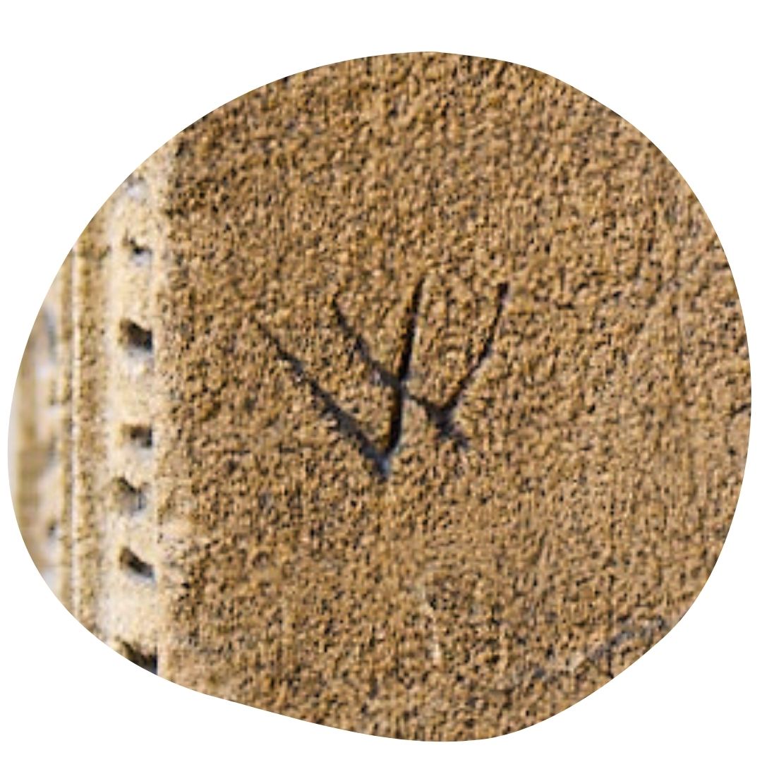 HSMOxford's tweet photo. Our Museum was built in 1683—behind today's #CuriosityCalendar door are marks people have left over the years to keep our collections protected. 

Open today's door: https://t.co/DaBwER9fB8

Here's a pic with a sneak peak:

#MuseXmas #adventcalendar #oxford #museum #witchesmarks https://t.co/quxj5XsKIb