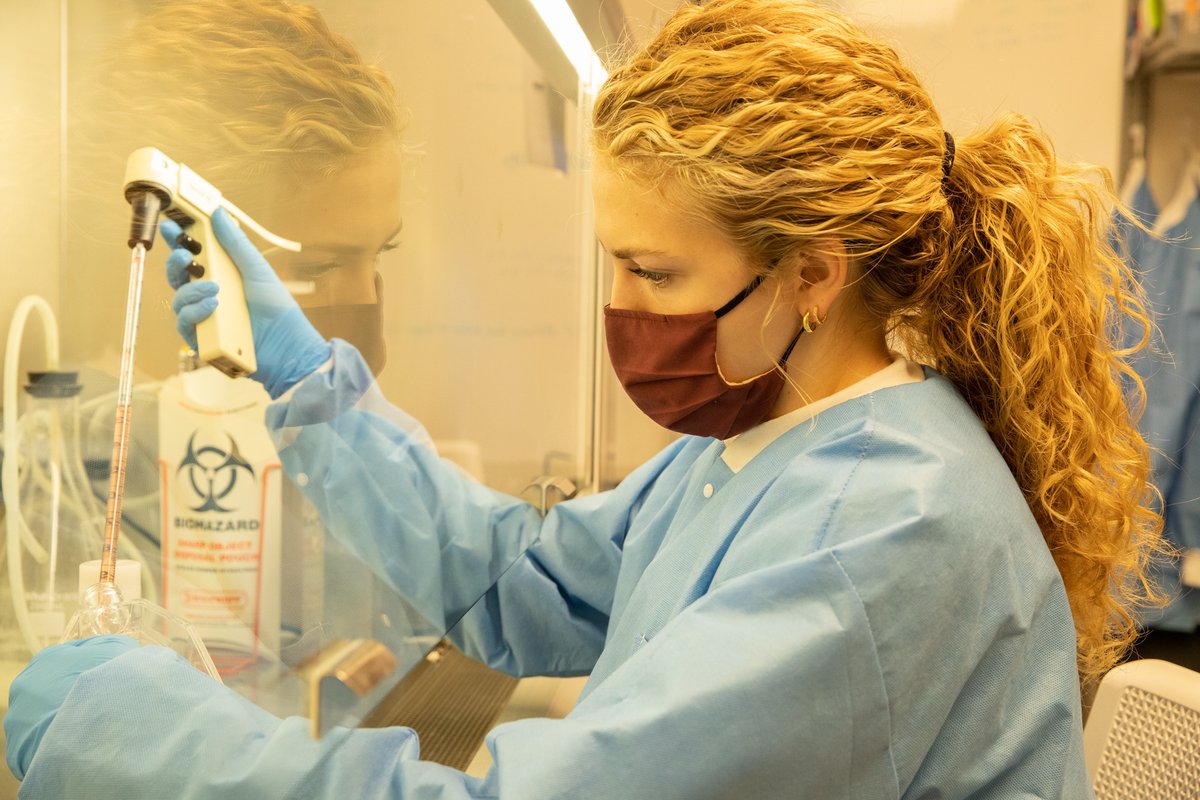 BMB_PSU's tweet photo. Check out this week's #UndergradsintheLab, Julia Faust, a Junior from the @SuHafenstein Lab.
Working with her mentor, she's conducting antigenic studies of poliovirus for biologics development and use in global virus eradication using cryo-EM technologies.
@PSUScience @PSU_urfm https://t.co/5UQtKYg7L7