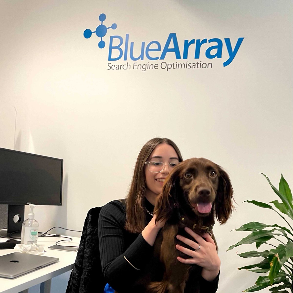 if you work in #SEO or #DigitalPR and have a spare 5 minutes, please can you fill out my personality types survey - forms.gle/8dzHWcH97ya7CL…💙

(pic for attention but Taya would like you to fill it out as well ft. my massive hand🐶🤚)