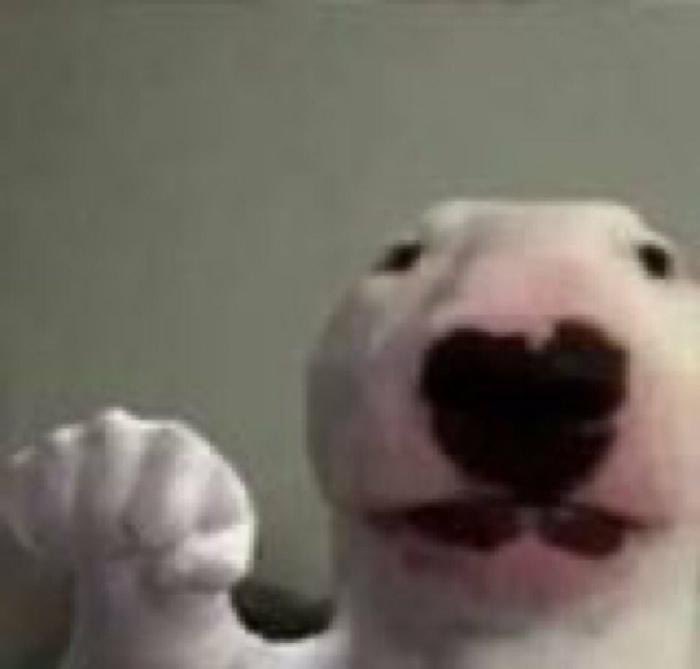 ใครที่พี่เรมมี่ตอบกลับแล้วยังไม่รายงานตัว จะโดนต่อยนะค๊าฟ จะเข้าทีมบ่?