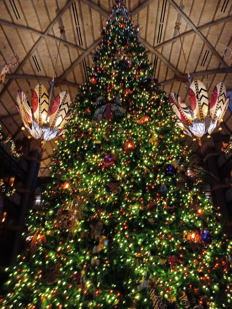 Tree at Disney Animal Kingdom Jambo is beautiful!
