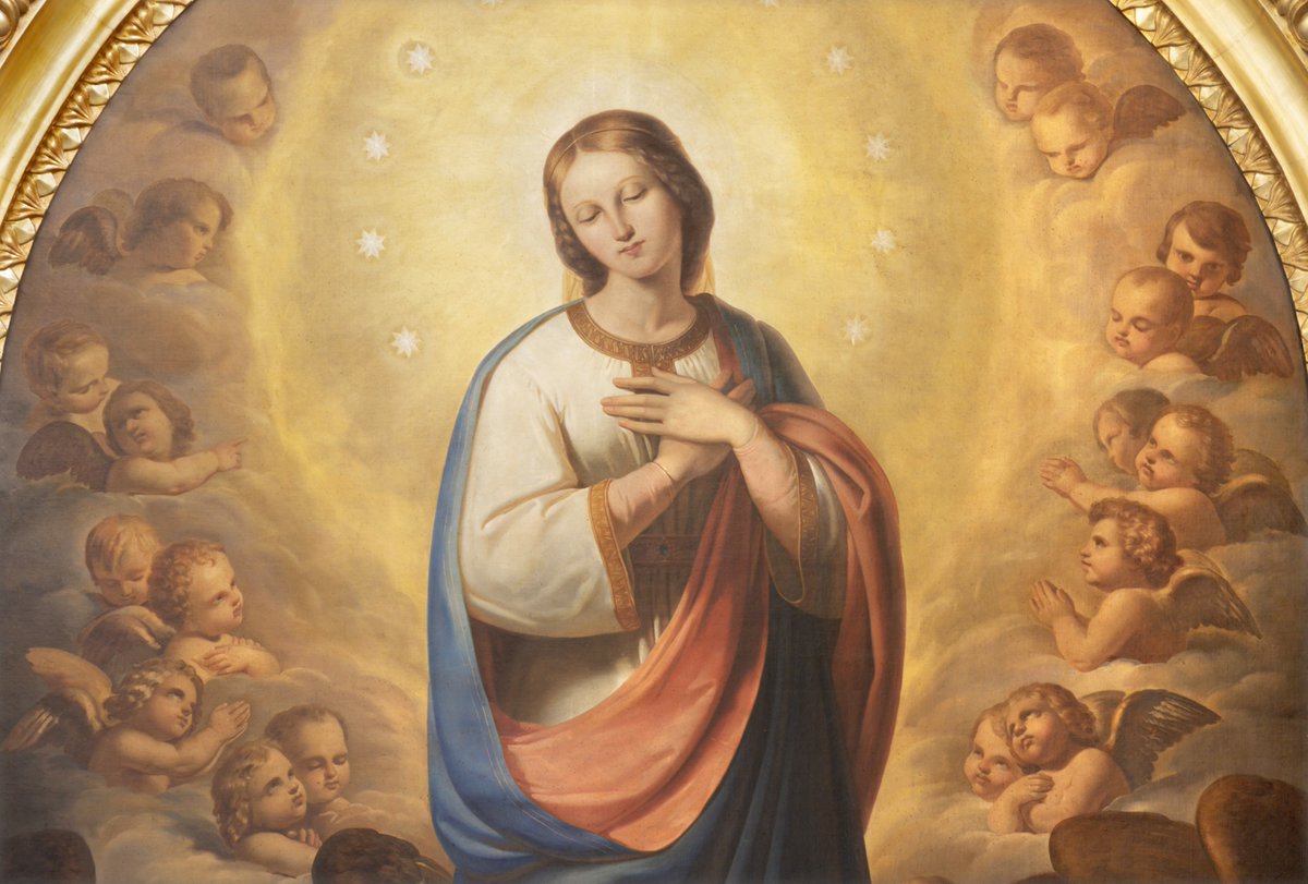 Today is a Holy Day of Obligation: The Immaculate Conception of the Blessed Virgin Mary. We encourage you to attend Mass today. We also air Mass that you can watch on NET TV online (https://t.co/gIzwh8fB2C), Verizon Fios 548, Optimum 30, or Spectrum 97. https://t.co/TrpSyZDY2I