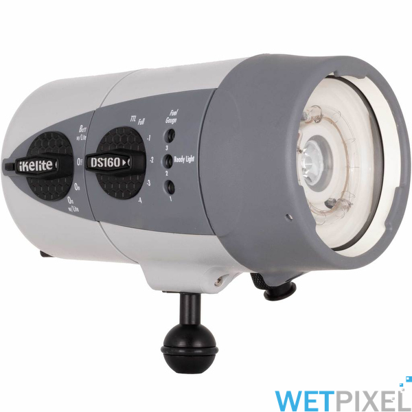 Wetpixel's tweet photo. Check out Ikelite’s new DS strobe range:

https://t.co/bEWltLmaAP https://t.co/Z7syDpujZX