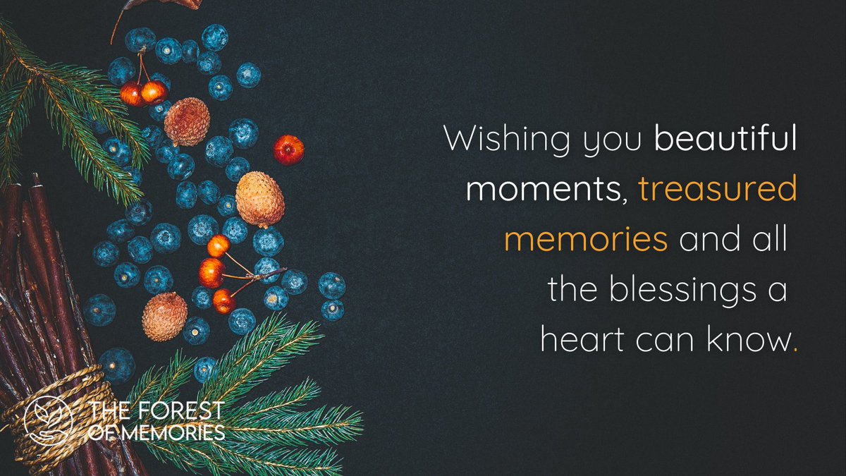 Forget the material possessions and make this #christmas about remembering what beauty is around you and be thankful for what you have.

Create and dedicate a #MemoryTree to those you  might have loved and lost @ theforestofmemories.com

#remember #memory #trees #xmas #love #loss