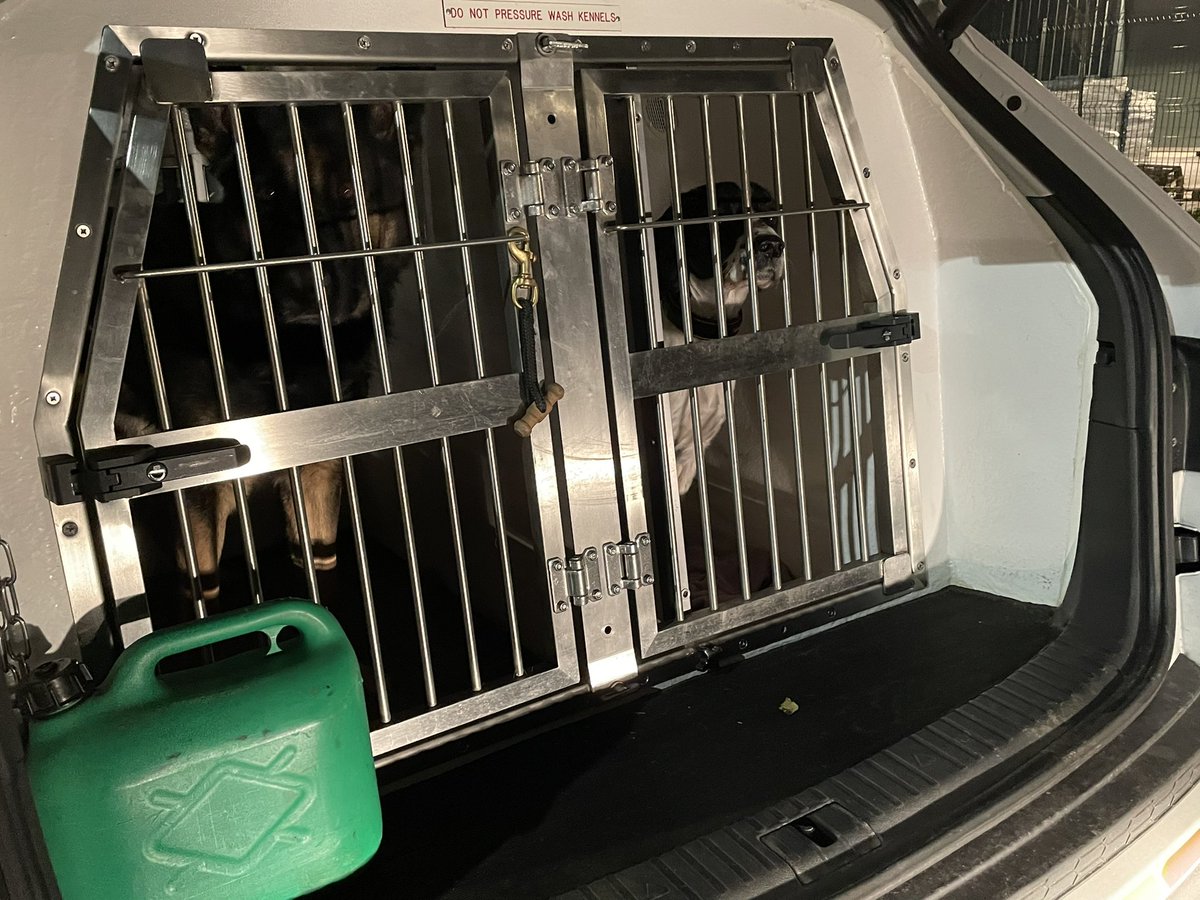 PoliceDogDorset's tweet photo. PD Tag and PD Loki on duty tonight 🐾

#OD741 #FSD #GSD #specialistdog #policedogs #dorsetpolice https://t.co/JCYzWeRcPz
