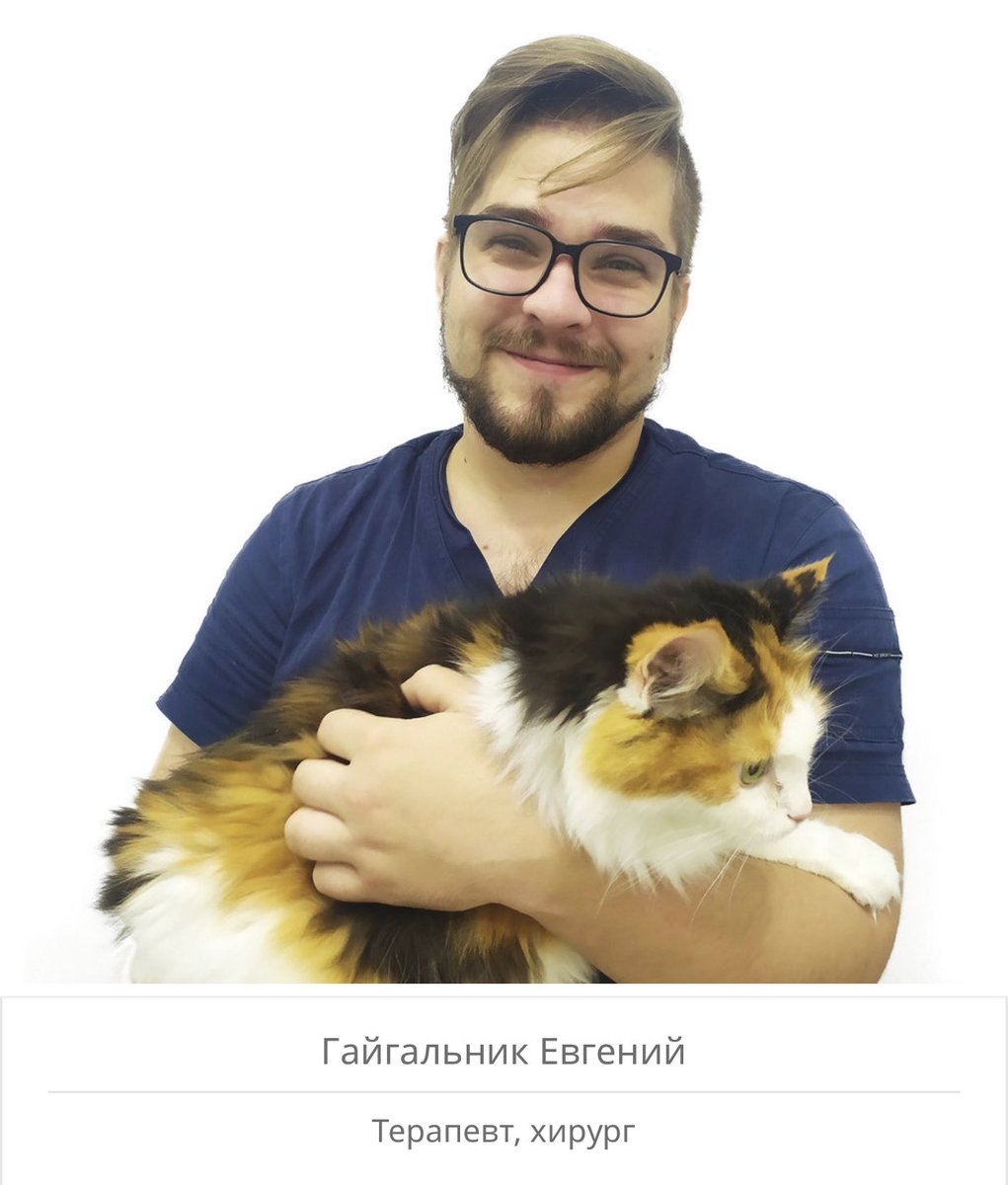 vzrosly_content's tweet photo. Я: захожу на сайт ветклиники, чтобы записать Черепашку к гастроэнтерологу
Также я: десять минут любуюсь мальчиками-ветеринарами 🥺💔 https://t.co/zhCPShkHtl