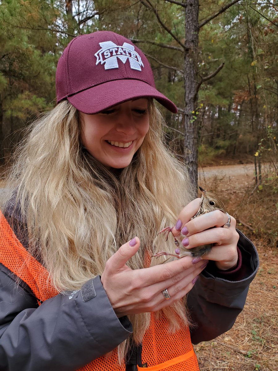 NatashaMaths's tweet photo. I recently moved from my beloved Sheffield @mathsatshefuni to Mississippi @msstate for a postdoc with the wonderful @street_ecology and @MelRBoudreau 

Really enjoying the culture change and working in this great research group https://t.co/mUEs0jyYHW