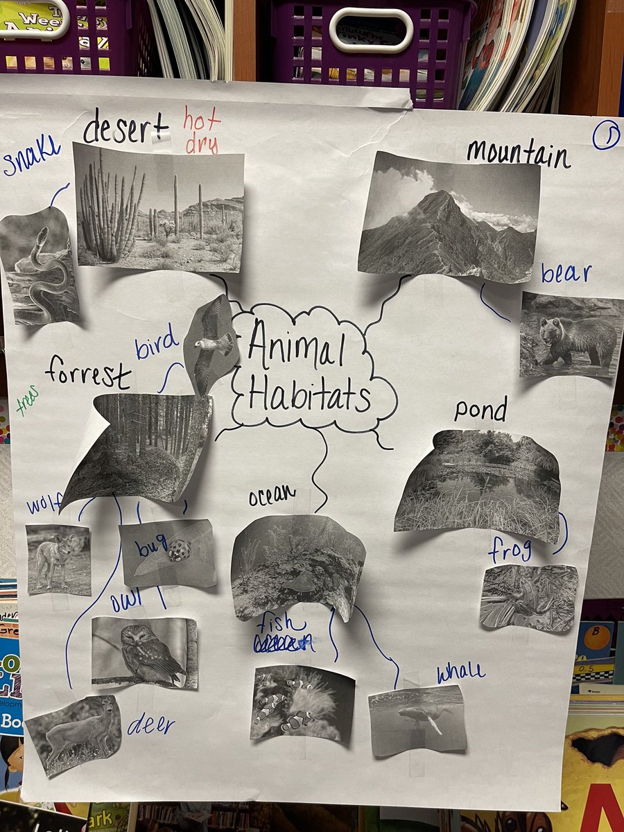 Michelle Baca tweet media