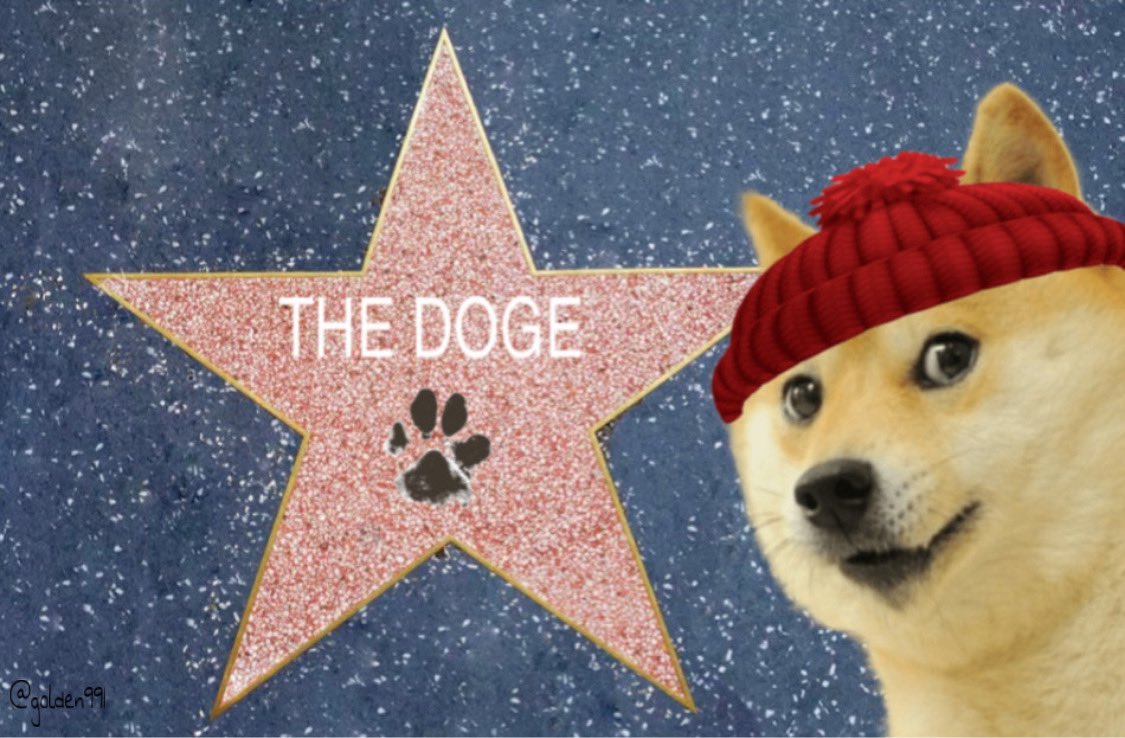 golđen991🤍🐕 tweet media