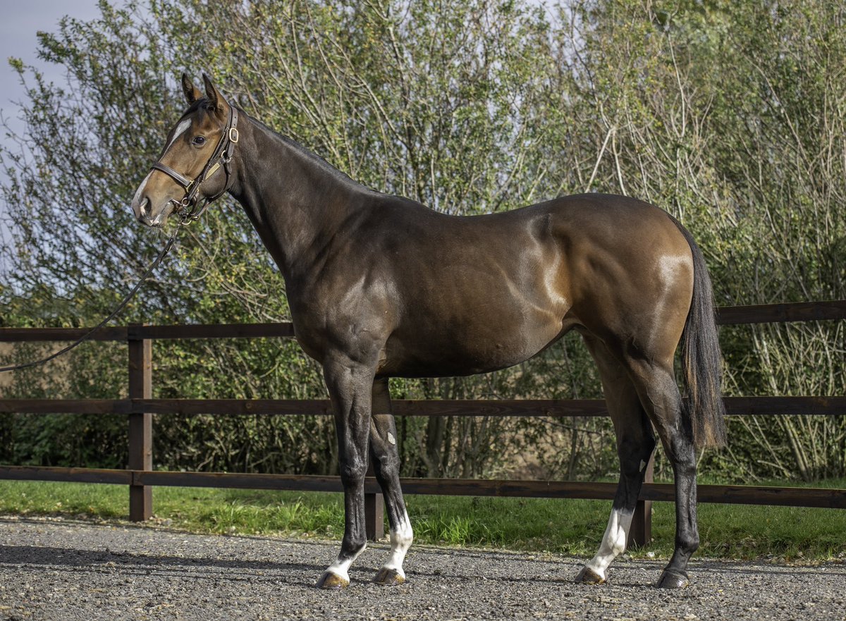 Tim Rusbridge tweet media