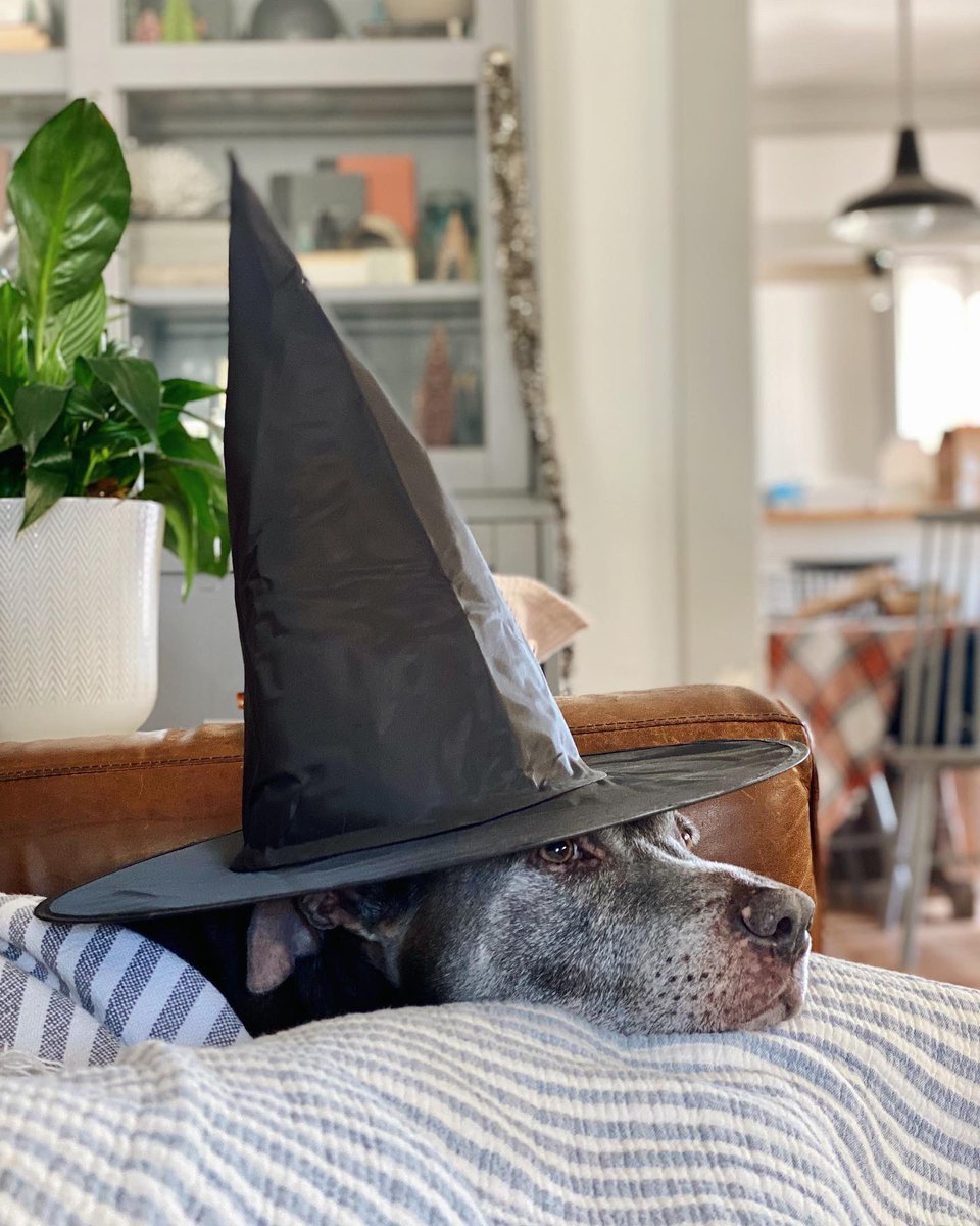 MsBiglin's tweet photo. @chelseaperetti https://t.co/iVBUZ6pnkL