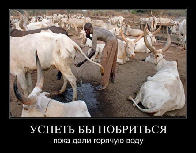 Leonid Filatov tweet media