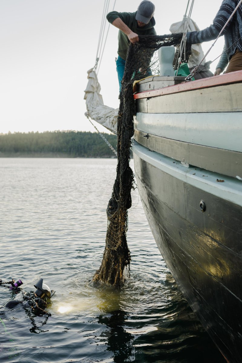 emeraldsea_ps's tweet photo. We’re #hiring a part time Administration &amp; Program Assistant! Are you energetic, organized, adaptable and interested in supporting lost fishing gear retrieval projects? 🌊You might be the perfect fit! Learn more about the position here:https://t.co/BtccnF1bk3
#applynow #BChiring https://t.co/vBrHS7a0p8