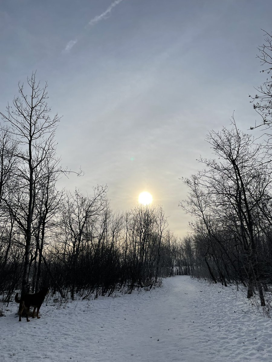 katfehrtweets's tweet photo. There’s something about being out in nature that makes me realize I’m okay. #mindfulness #gratitude #mentalrecovery https://t.co/cd44QAfyOX