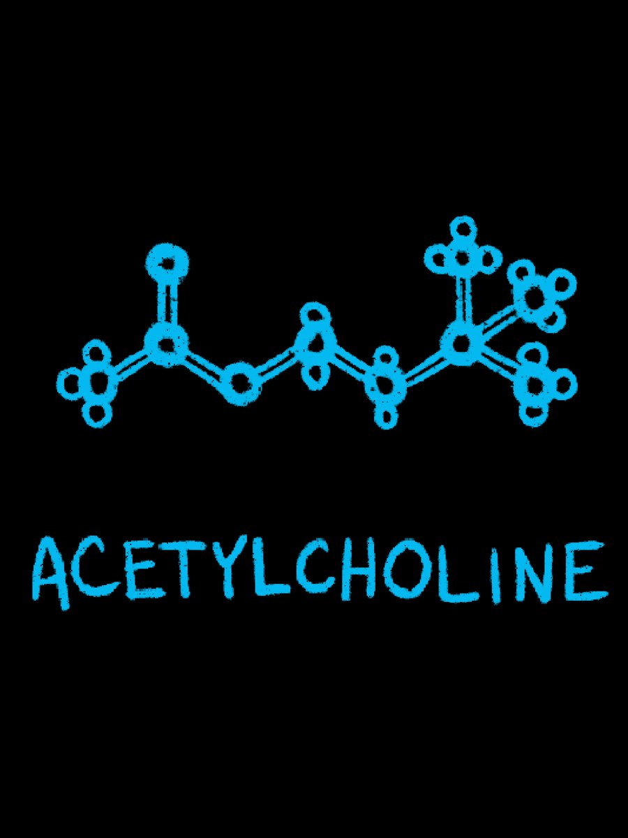 drymarkerart tweet media