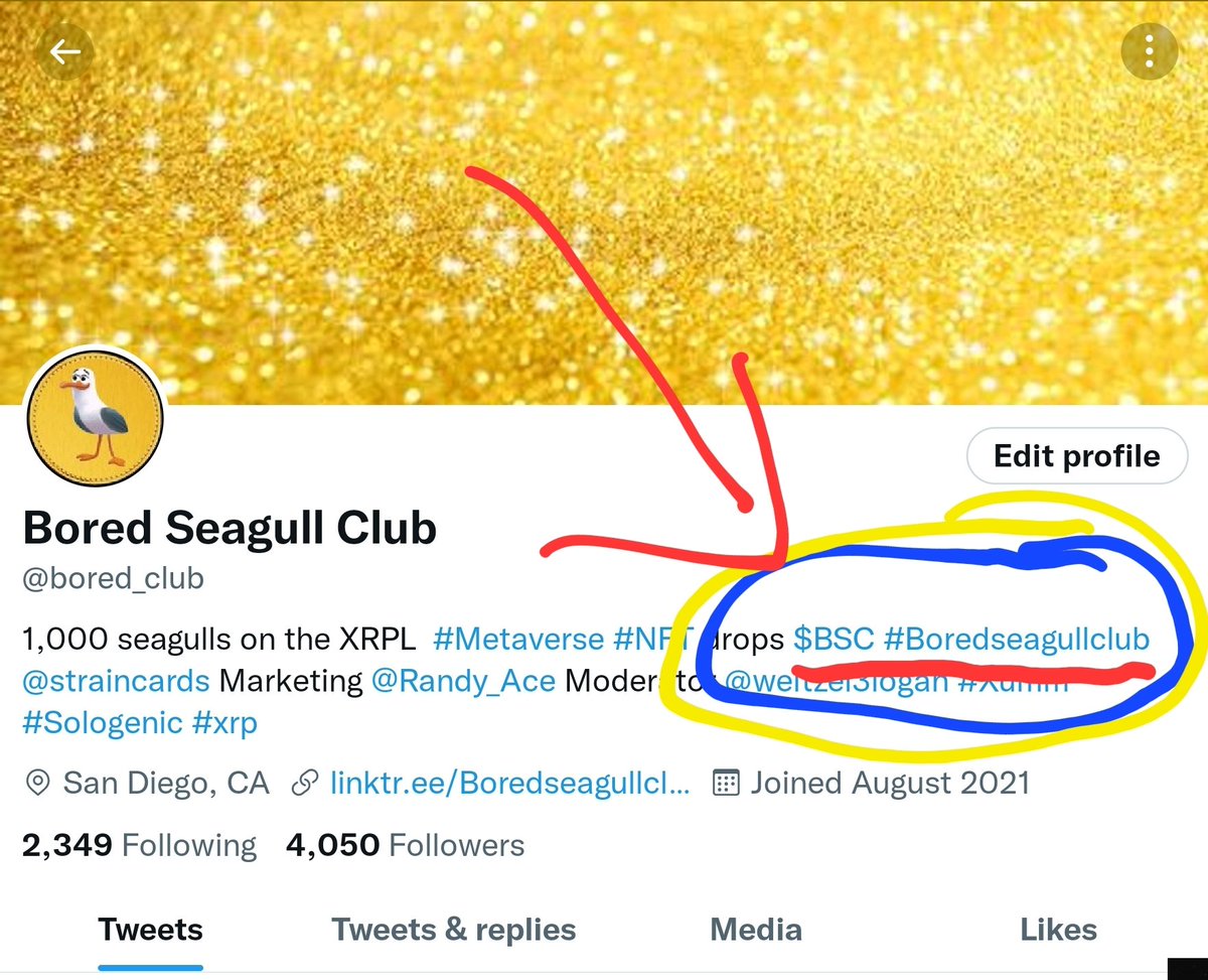 BoredSeagullClub.XRP tweet media
