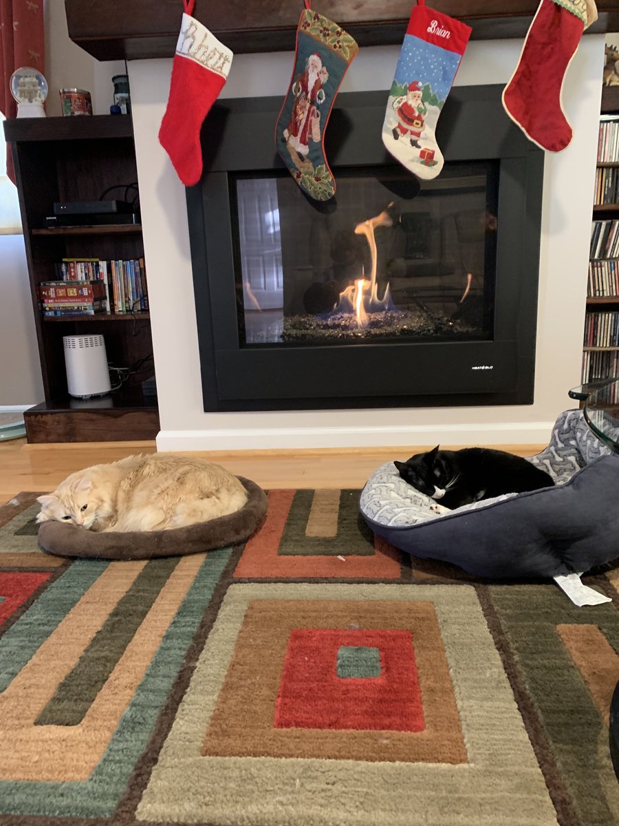 PatriciaDelGuer's tweet photo. Retirement is….chillin’ by the fire on a cold afternoon! https://t.co/3PiY0VhMM6