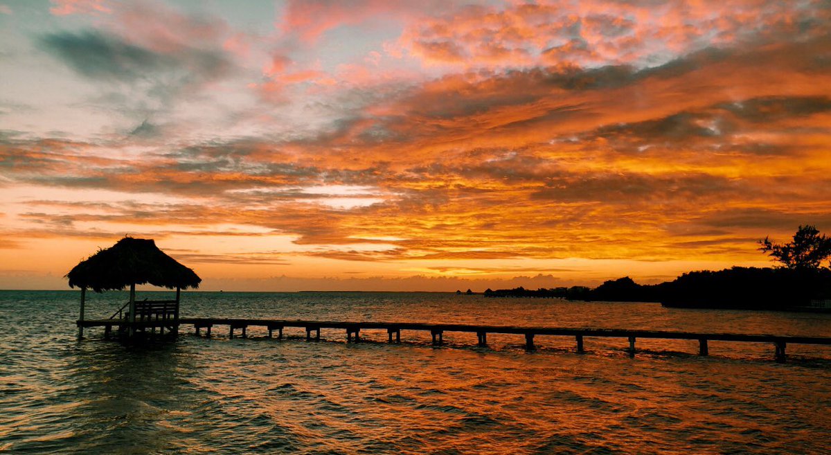 PicsOrItDidntHappen tweet media