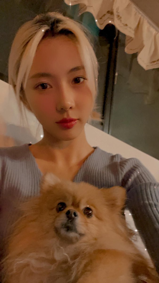 DCInsomniaSpain's tweet photo. [TRAD][#YOOHYEON] Post Weverse 211208 

Me siento tan feliz cuando estoy con vosotros ☺❣ 

Oficial Weverse App📱
https://t.co/Bs0mnObWc0 

#DREAMCATCHER #드림캐쳐 https://t.co/431gpFJugx