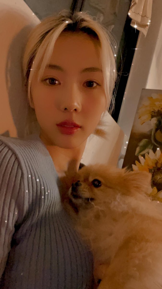 DCInsomniaSpain's tweet photo. [TRAD][#YOOHYEON] Post Weverse 211208 

Me siento tan feliz cuando estoy con vosotros ☺❣ 

Oficial Weverse App📱
https://t.co/Bs0mnObWc0 

#DREAMCATCHER #드림캐쳐 https://t.co/431gpFJugx