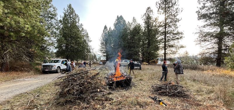 Do you want to learn more about biochar? 🔥 - mailchi.mp/landscouncil/d…