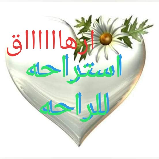 esslamooo1's tweet photo. #صورة_ملف_شخصي_جديدة https://t.co/ztNSItSgoJ