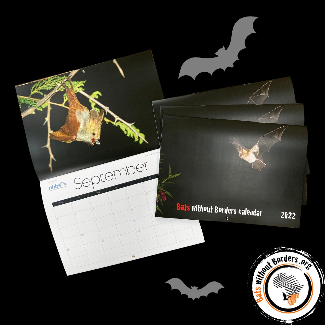 bats_w_borders's tweet photo. Have a flick through our brilliant #2022Calendar! 🦇🧡📆 To order, drop us an email! It's the #PerfectGift for any #BatLovers out there, plus you're helping #BatConservation efforts in #SouthernAfrica 
#Bats #Calendar #Calendar2022 #Cute #CuteBats #BatCalendar #AfricanBats https://t.co/G1lmxWaVhl