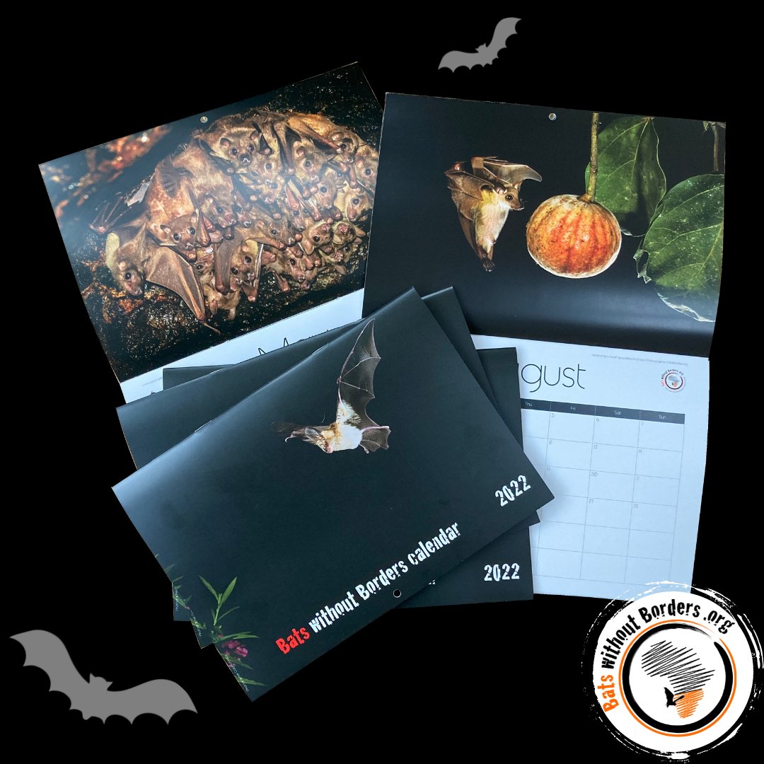 bats_w_borders's tweet photo. Have a flick through our brilliant #2022Calendar! 🦇🧡📆 To order, drop us an email! It's the #PerfectGift for any #BatLovers out there, plus you're helping #BatConservation efforts in #SouthernAfrica 
#Bats #Calendar #Calendar2022 #Cute #CuteBats #BatCalendar #AfricanBats https://t.co/G1lmxWaVhl