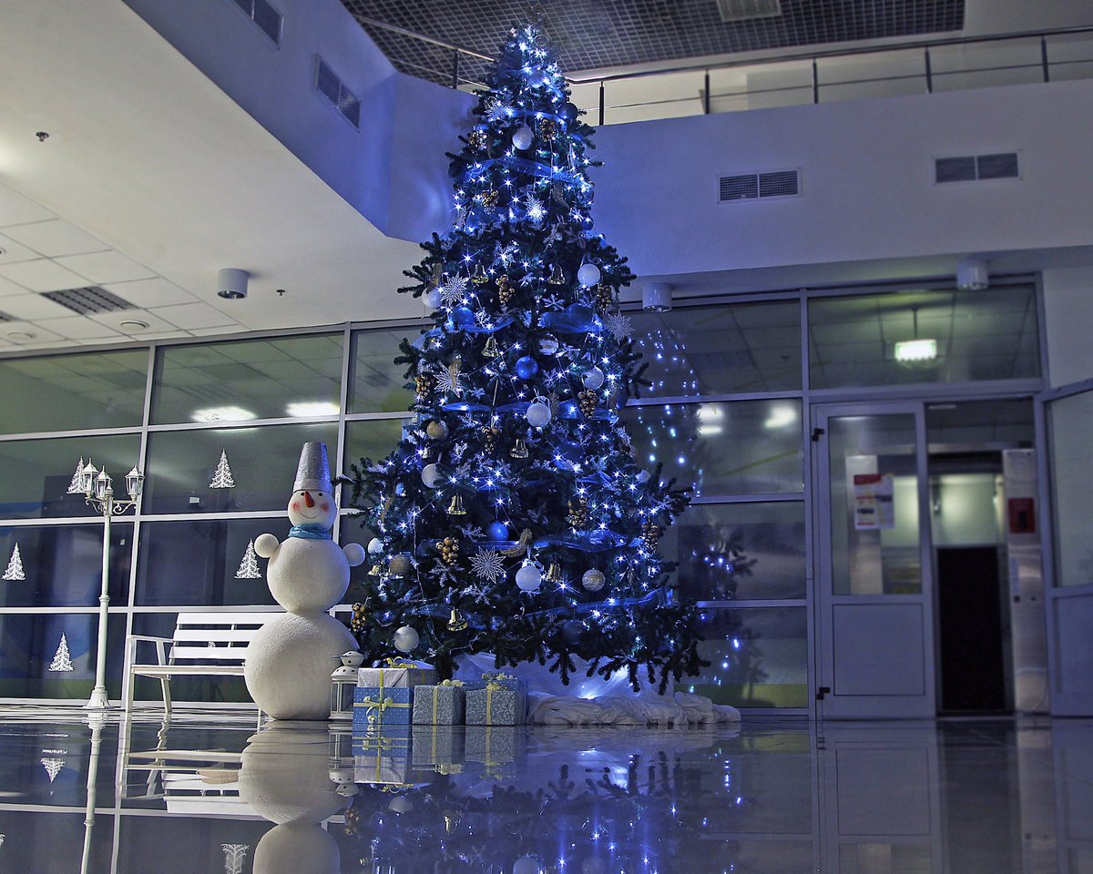 ArenaKhimki's tweet photo. Вот такая красота в холле «Арены Химки»🎄

Как вам? 😍 https://t.co/bZjulyK5y3