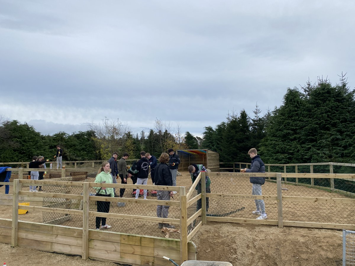 StCatherinesSCA's tweet photo. The recent project completed in our Adult Day Service in Hillview by @DifferenceDays and the 5th year Students from St Gerard's School. Many thanks to all involved! https://t.co/wz4JKOm2Np