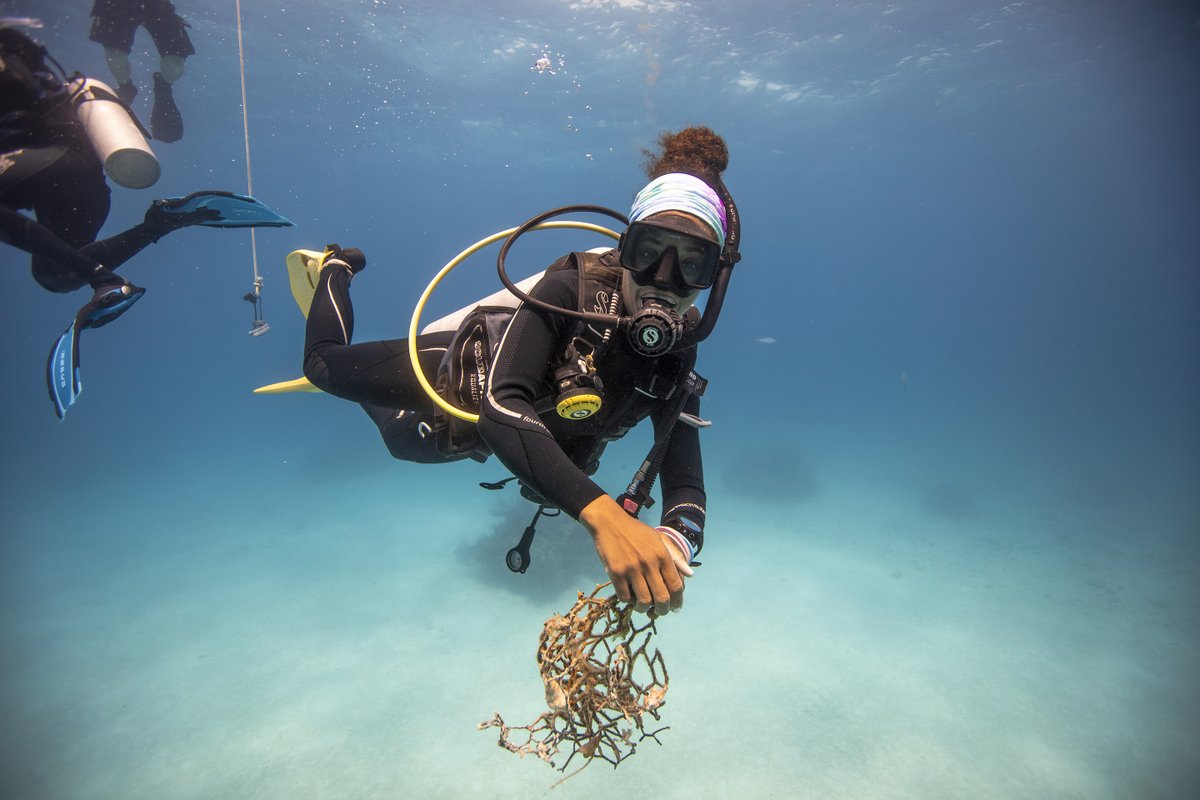 padiaware's tweet photo. What will your next conservation certification be?
For your #newyearesolutions, take an AWARE course with your @PADI training. Choose yours and become a Torchbearer for our ocean 👉 https://t.co/NrmZqiD3Jv
#DiveAgainstDebris #AWAREimpact #LocalActionGlobalImpact https://t.co/83BxeqfGEF