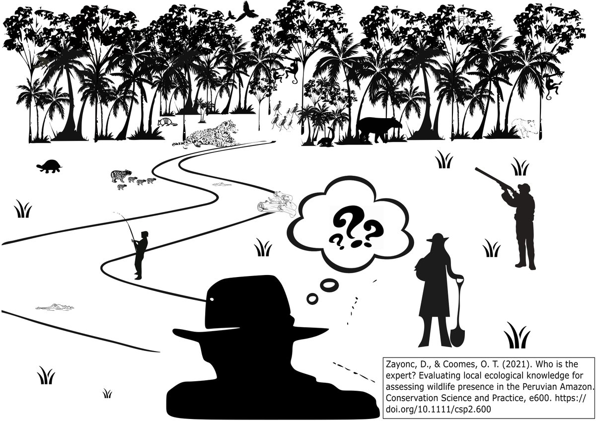 DanielZayonc's tweet photo. New research published by @ConservationSP 
#conservation #Amazon #animals #cameratrap #transect #householdsurvey #inventorymethods https://t.co/QKucxHlyH2