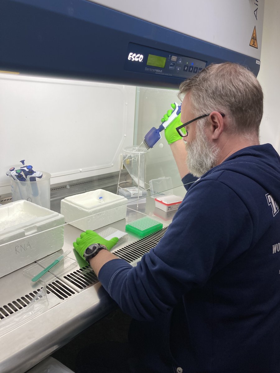 Lars performing our premiere library preparation for NGS read out on the GeoMX platform from Nanostring. Whole transcriptome info from customer selected regions of a tissue section.