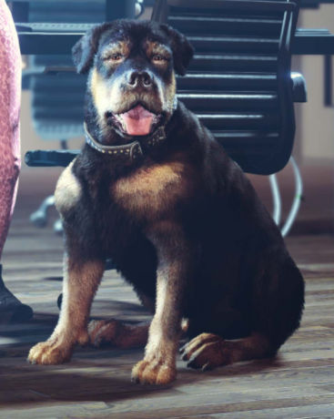 RossFuller's tweet image. C h o p 🐶