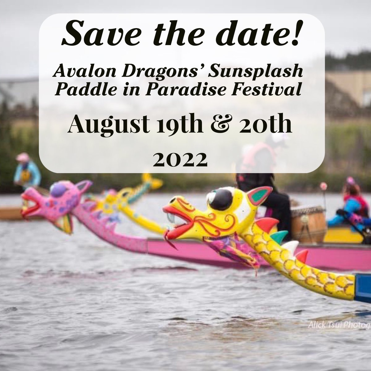 AvalonDragons's tweet photo. Details to follow in the new year! #avalondragons #dragonboatnl #sunsplashpaddleinparadise https://t.co/iuvtD1hqVW